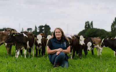 Students posing on a field trip doing practical work at the Dairy Demonstration Farm surrounded by cows, doing milking, science and agriculture. Sunny day green fields.